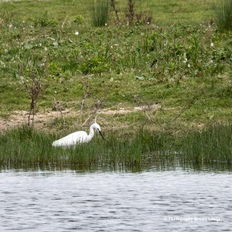 Natuurfotografie