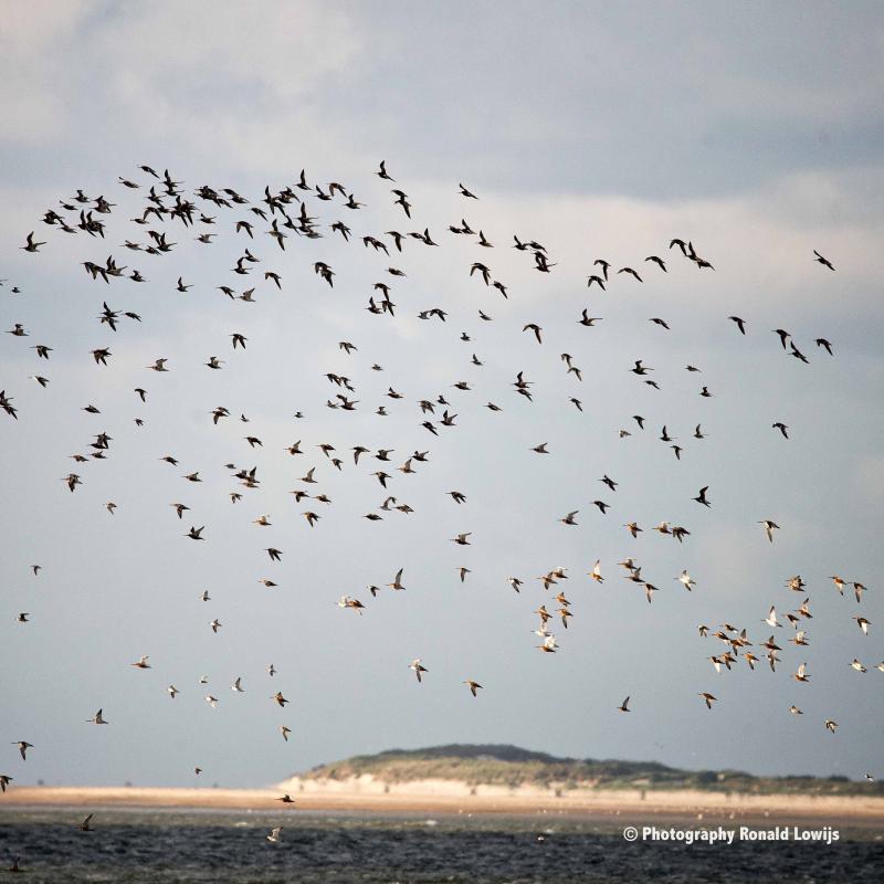 Natuurfotografie