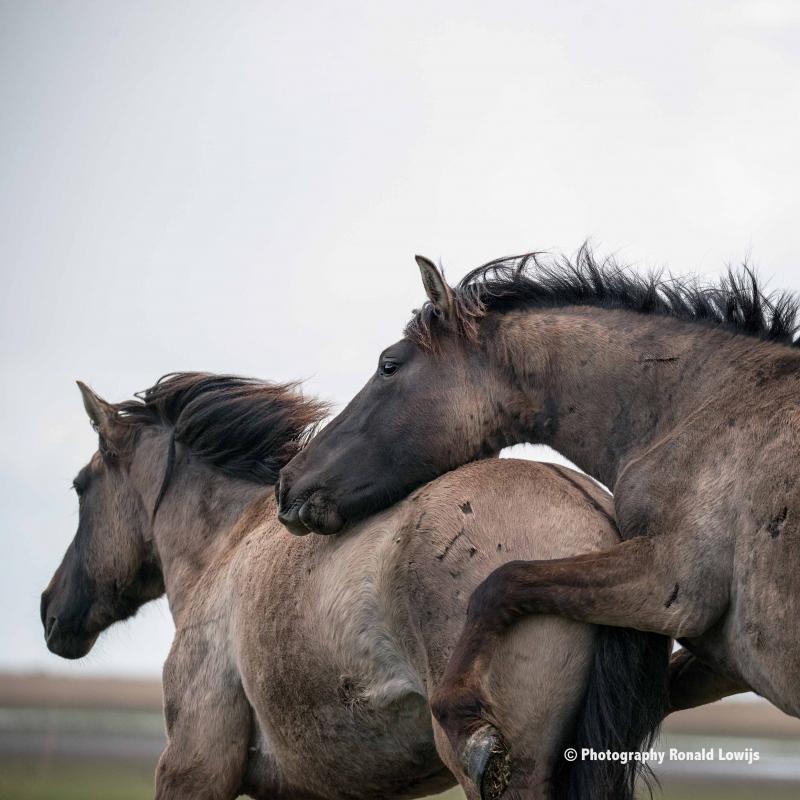 Natuurfotografie